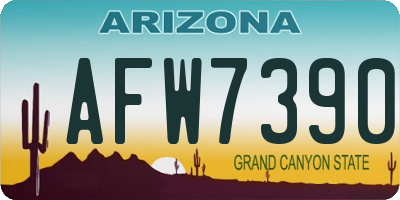 AZ license plate AFW7390