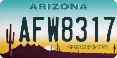 AZ license plate AFW8317