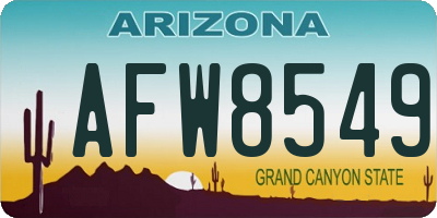 AZ license plate AFW8549