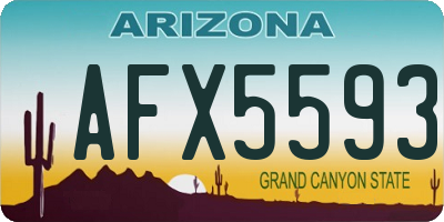 AZ license plate AFX5593