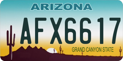 AZ license plate AFX6617