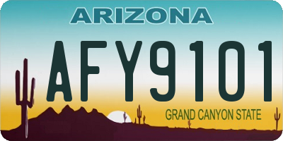 AZ license plate AFY9101