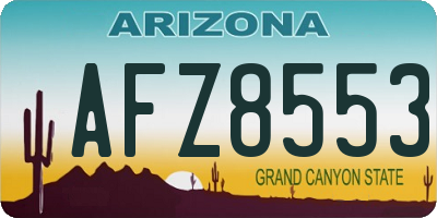 AZ license plate AFZ8553