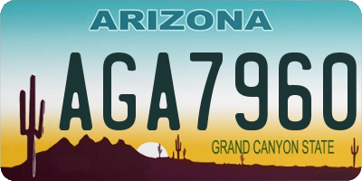 AZ license plate AGA7960