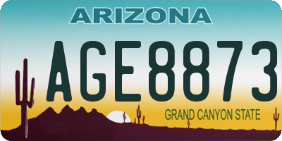 AZ license plate AGE8873