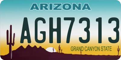 AZ license plate AGH7313