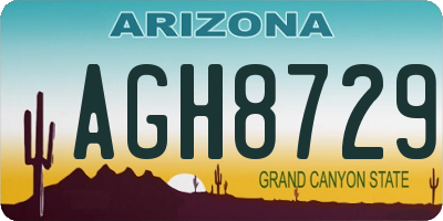 AZ license plate AGH8729
