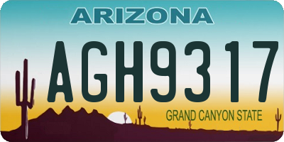 AZ license plate AGH9317