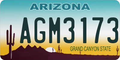 AZ license plate AGM3173