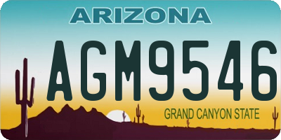 AZ license plate AGM9546