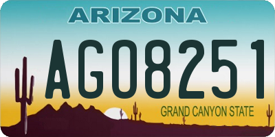 AZ license plate AGO8251
