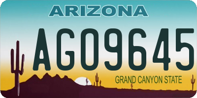 AZ license plate AGO9645