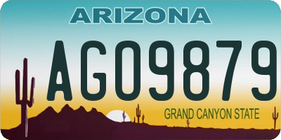 AZ license plate AGO9879