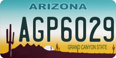 AZ license plate AGP6029
