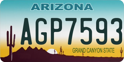 AZ license plate AGP7593
