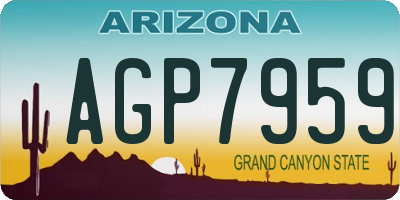 AZ license plate AGP7959
