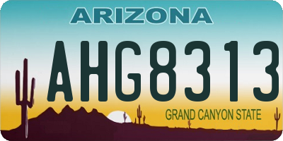 AZ license plate AHG8313