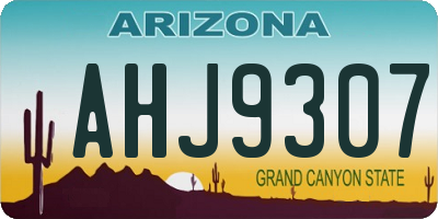 AZ license plate AHJ9307