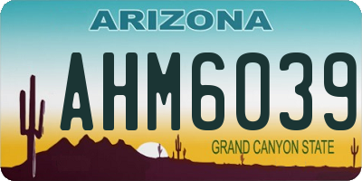 AZ license plate AHM6039