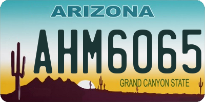 AZ license plate AHM6065