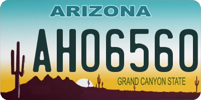 AZ license plate AHO6560
