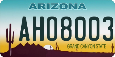 AZ license plate AHO8003