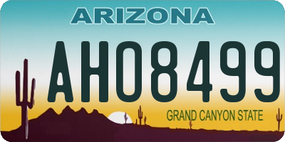 AZ license plate AHO8499