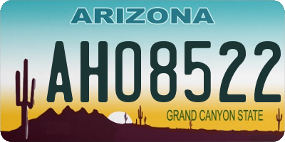 AZ license plate AHO8522
