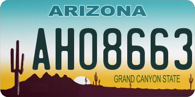 AZ license plate AHO8663