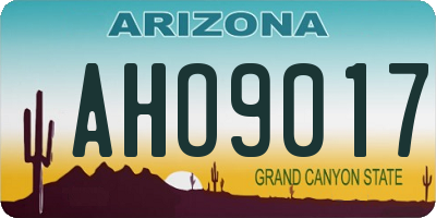 AZ license plate AHO9017