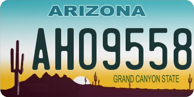 AZ license plate AHO9558