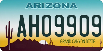 AZ license plate AHO9909