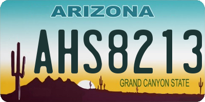 AZ license plate AHS8213