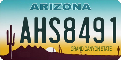 AZ license plate AHS8491