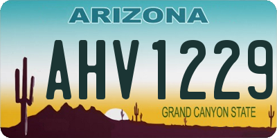 AZ license plate AHV1229
