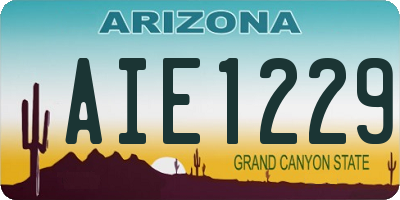 AZ license plate AIE1229