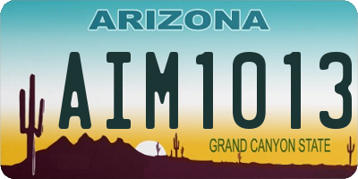 AZ license plate AIM1013