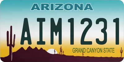 AZ license plate AIM1231