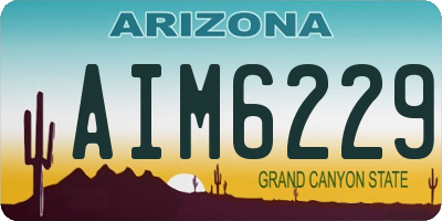 AZ license plate AIM6229