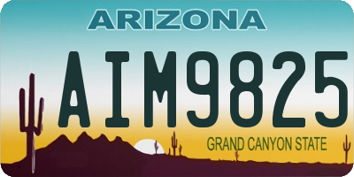 AZ license plate AIM9825