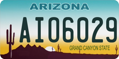 AZ license plate AIO6029