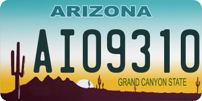 AZ license plate AIO9310