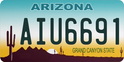 AZ license plate AIU6691