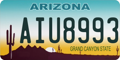 AZ license plate AIU8993