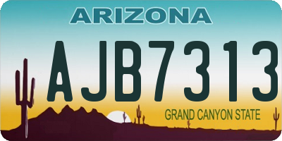 AZ license plate AJB7313