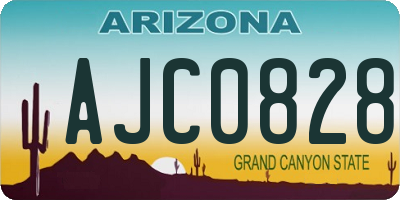 AZ license plate AJC0828