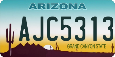 AZ license plate AJC5313