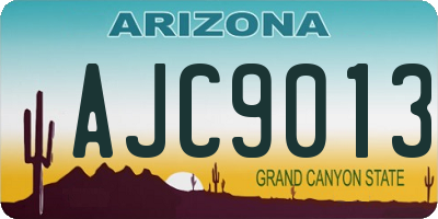 AZ license plate AJC9013