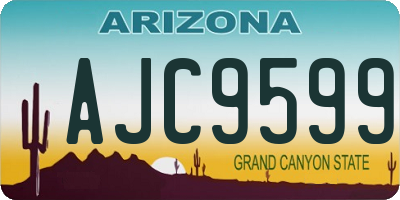 AZ license plate AJC9599