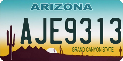 AZ license plate AJE9313